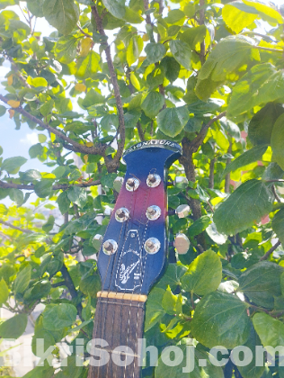 Signature Guiter